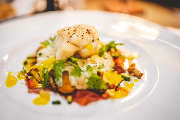 Angerichtetes Fischgericht auf weissem Teller